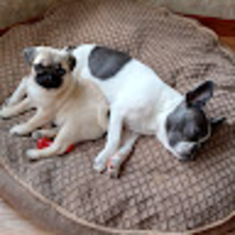 Meet your Posher, Cynthia